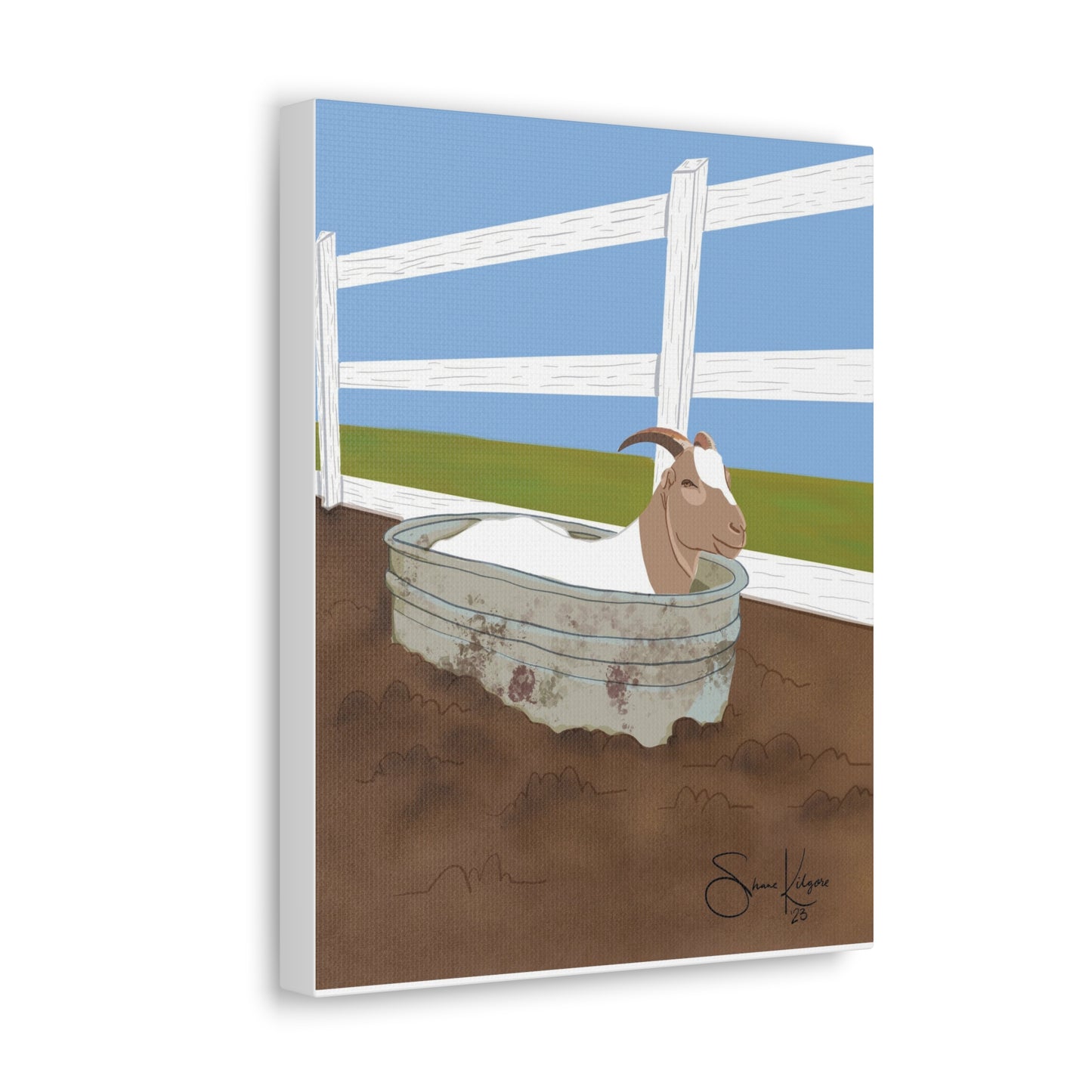 Goat in a Tub on Canvas